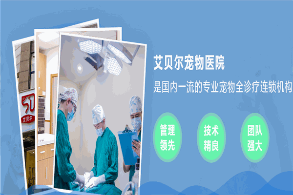 艾贝尔宠物医院